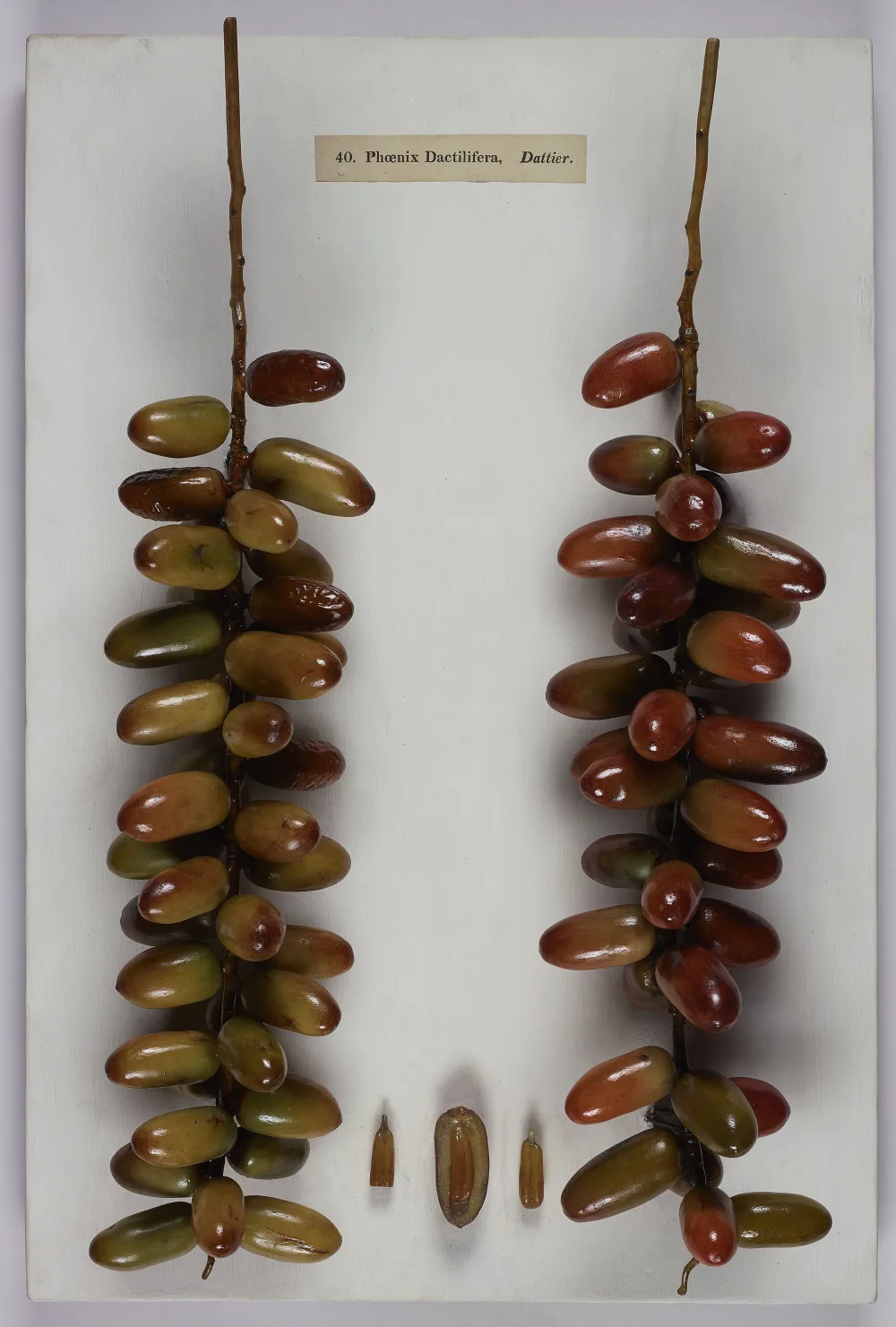 Wholesale Dates in East Jakarta: A Buyer's Map of Cakung, Condet & Kampung Arab