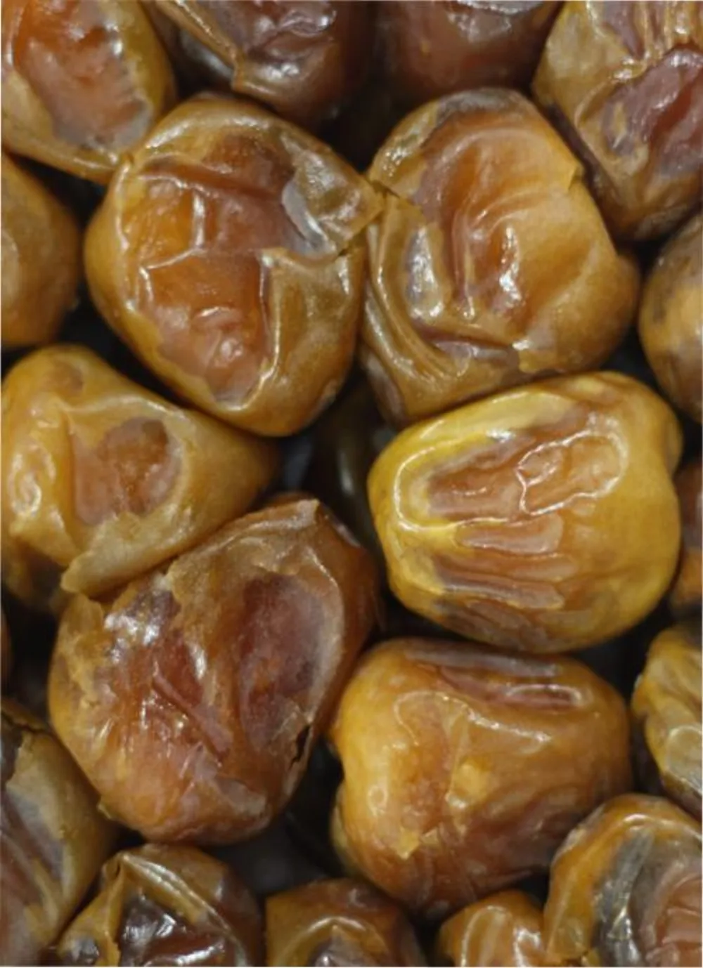 Kurma Sukari Al-Qassim Grade A — Grosir